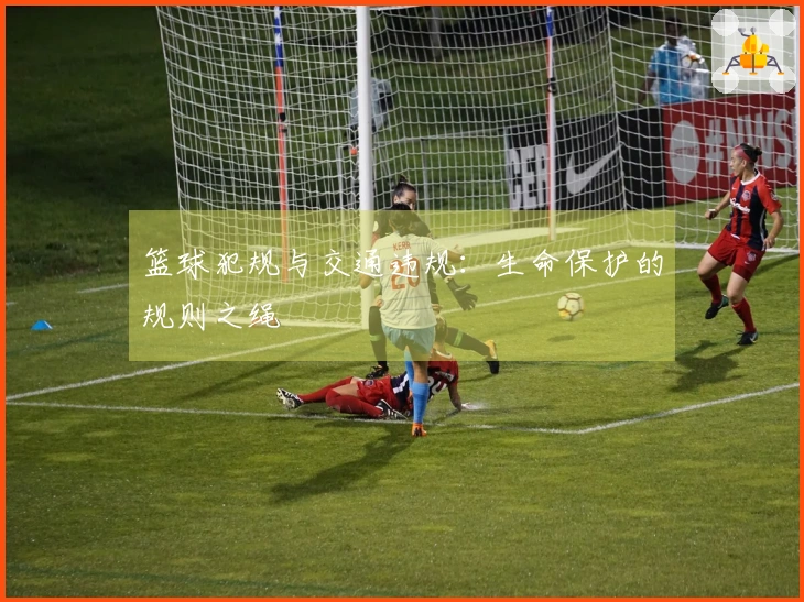 篮球犯规与交通违规：生命保护的规则之绳